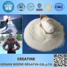 new products creatine powder bulk